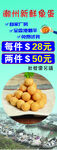 潮州新鲜鱼蛋