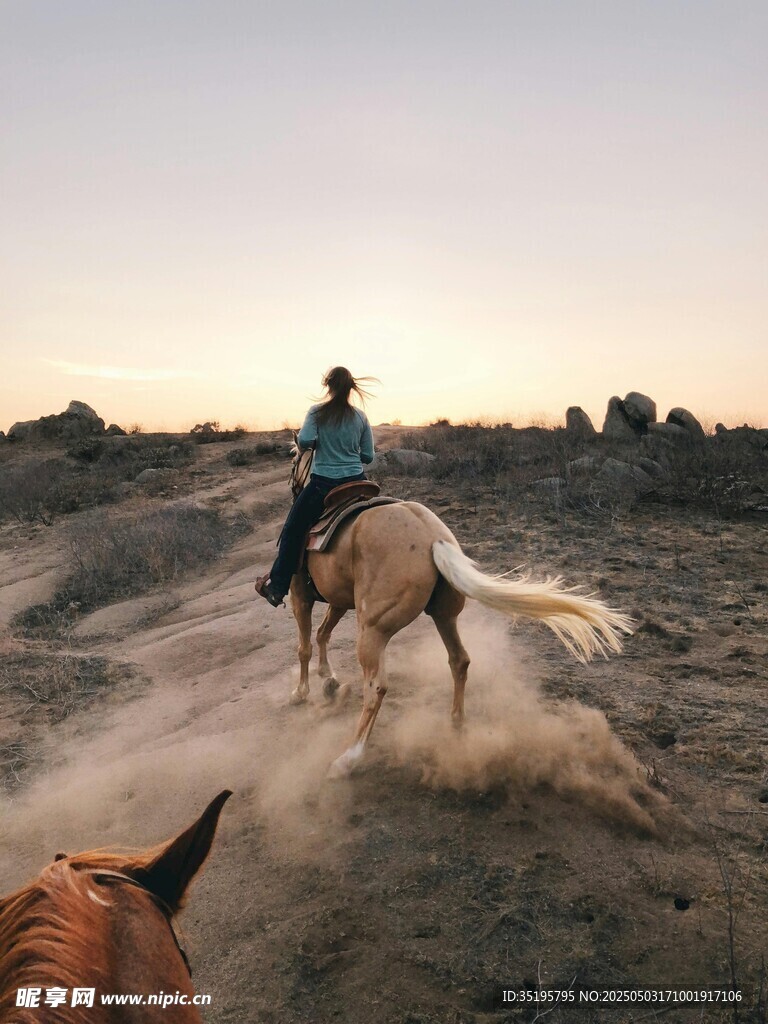 夕阳下骑手策马奔腾