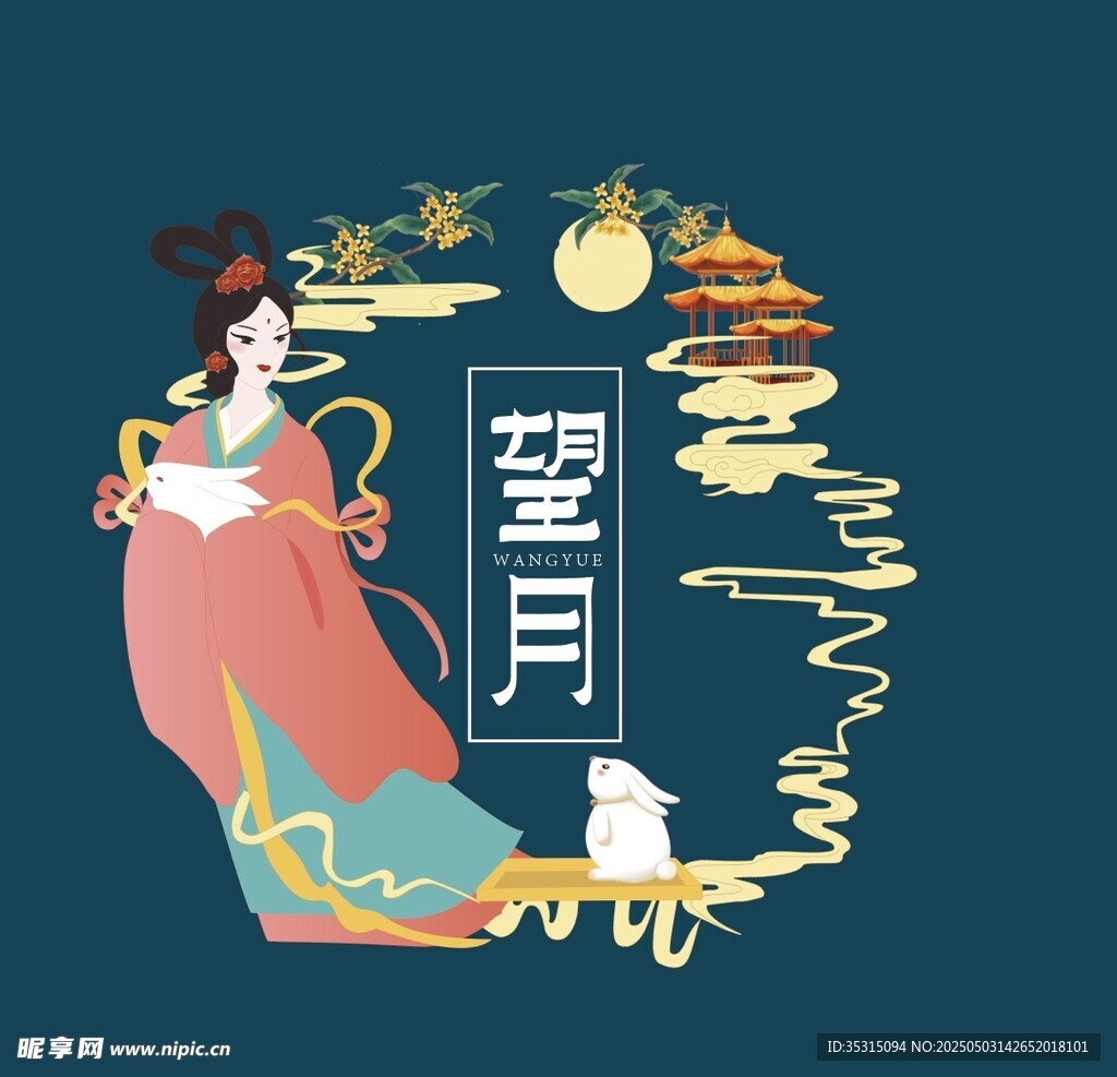 古风嫦娥望月插画