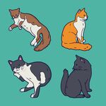四只姿态各异的可爱猫咪