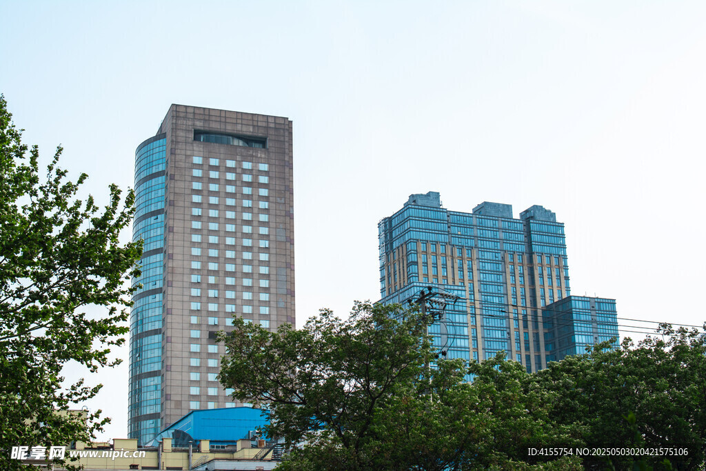 城市中的高楼与绿树景观