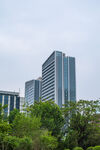 城市中绿树环绕的高楼大厦
