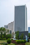 城市中的现代高楼景观