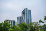 城市高楼与绿树景观