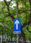 单行道指示牌 绿树背景