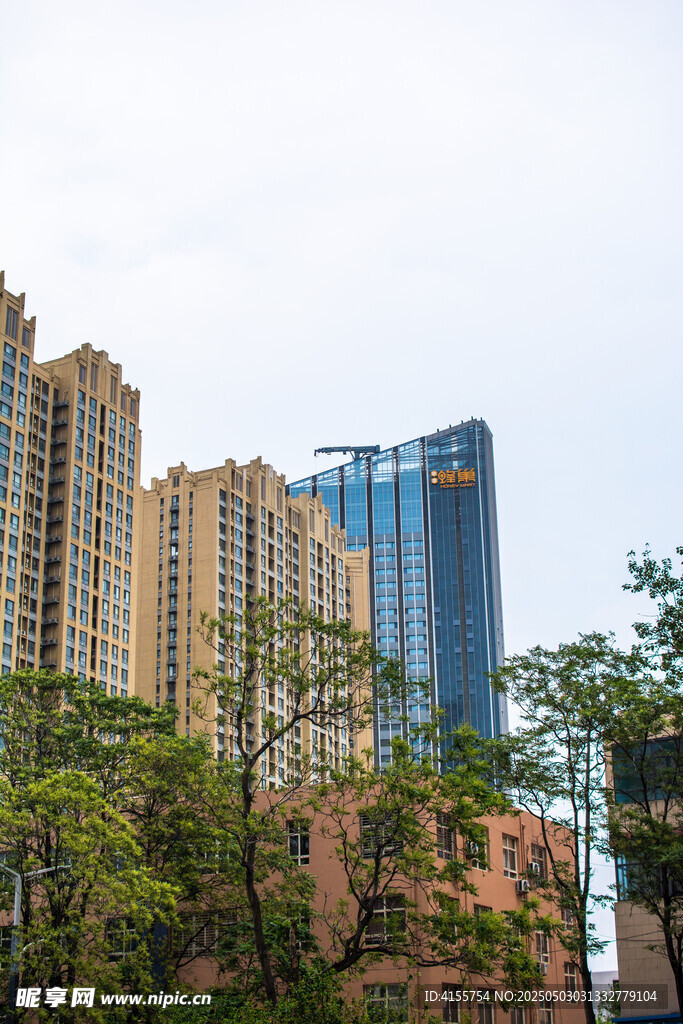 城市高楼与绿树景观