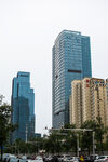 城市中的高楼与街道景象