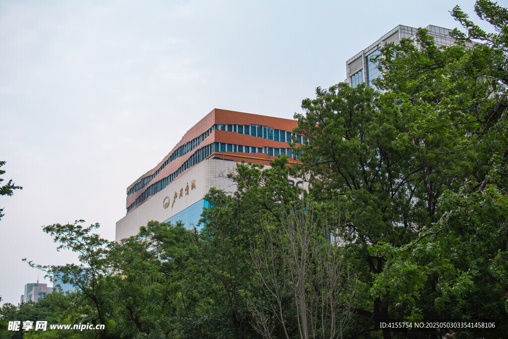 绿树掩映中的多彩建筑