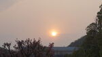 夕阳下繁花与树木景观