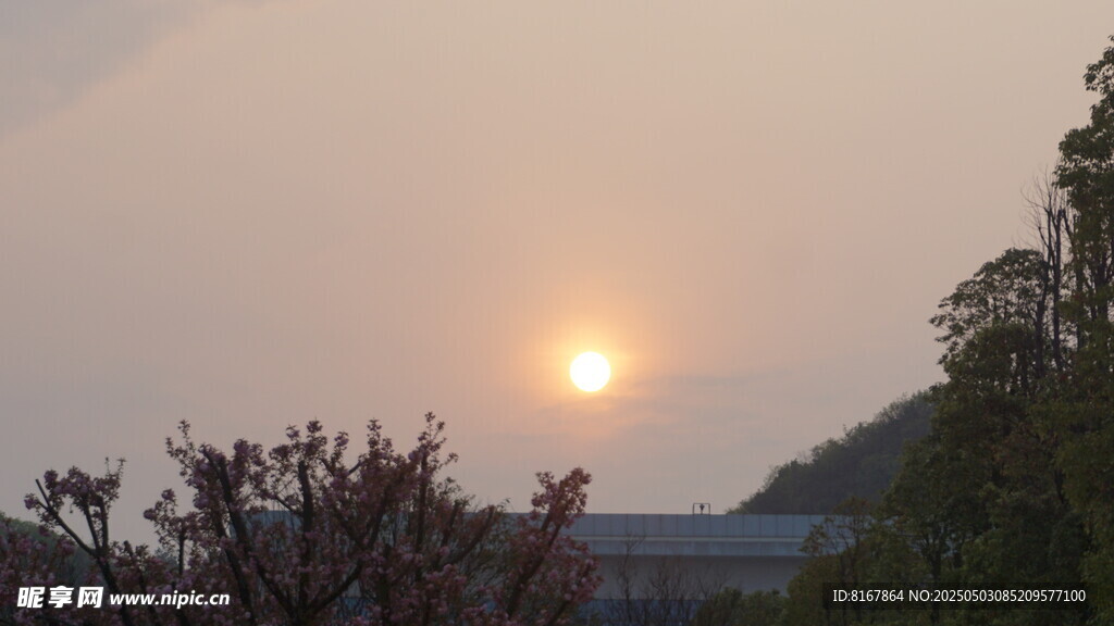 夕阳下繁花与树木景观