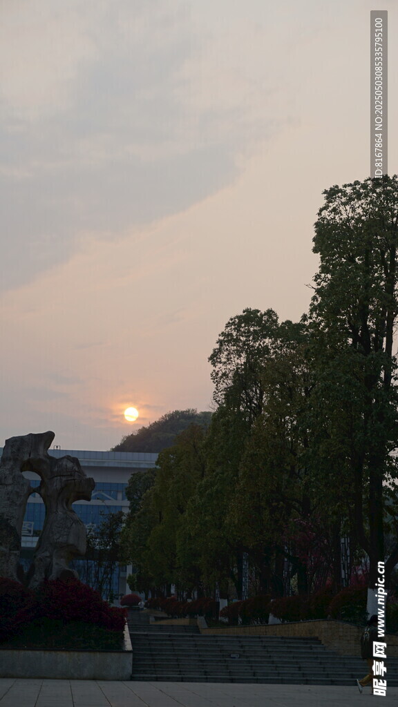夕阳下的树木与建筑景观