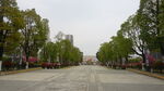 宽阔林荫大道城市街景