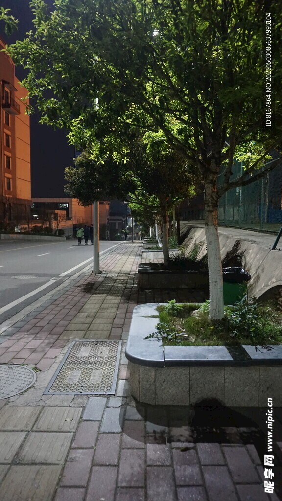 街边绿植景观