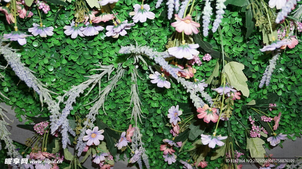 地面散落的多彩植物叶片