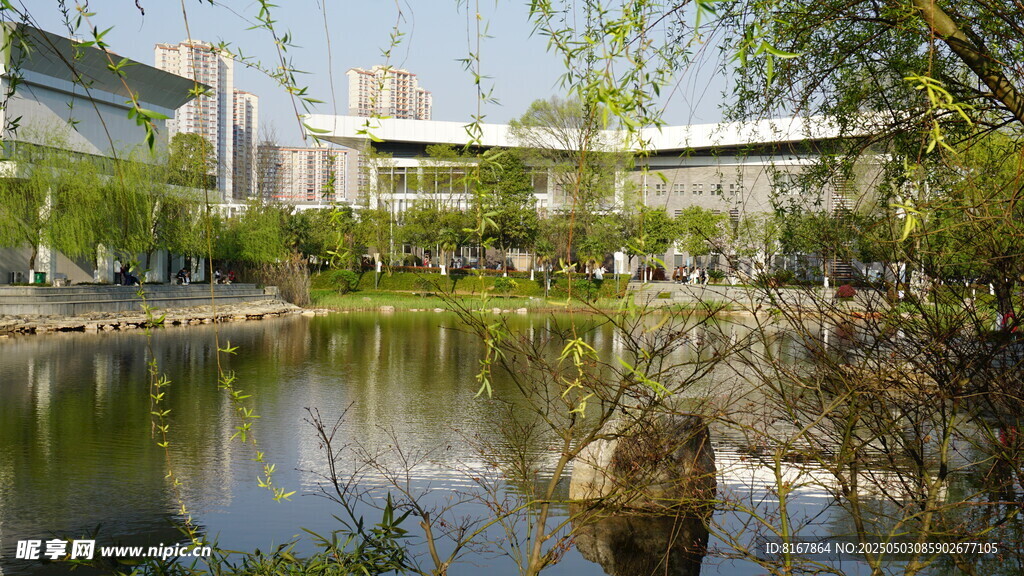 湖畔城市景观 绿意盎然