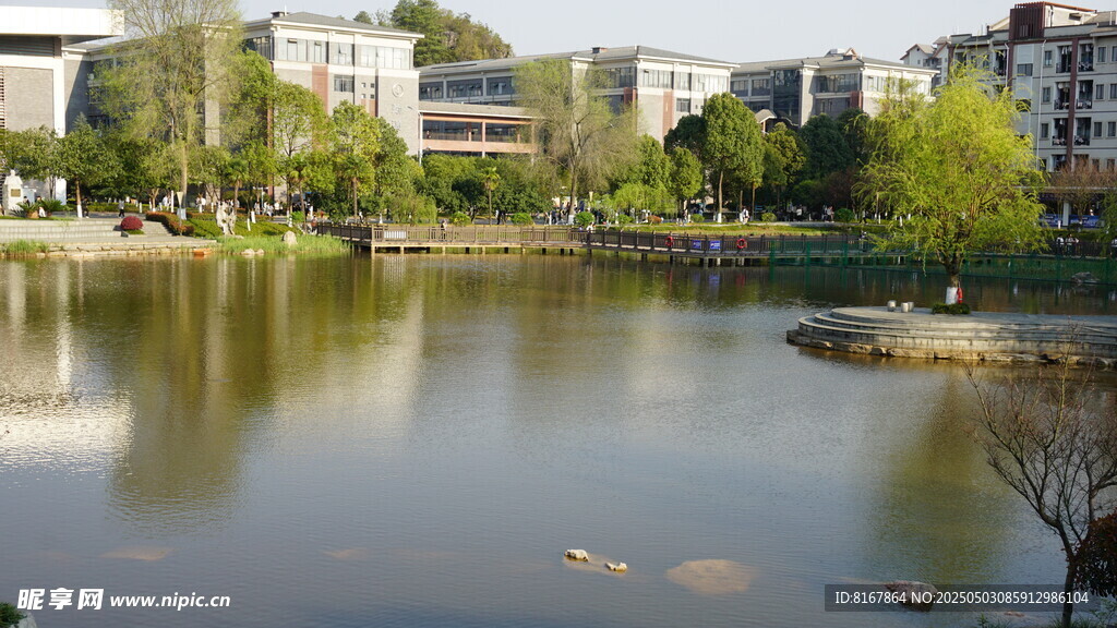 湖畔城市风光美景
