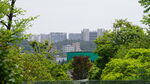 绿树掩映下的城市远景