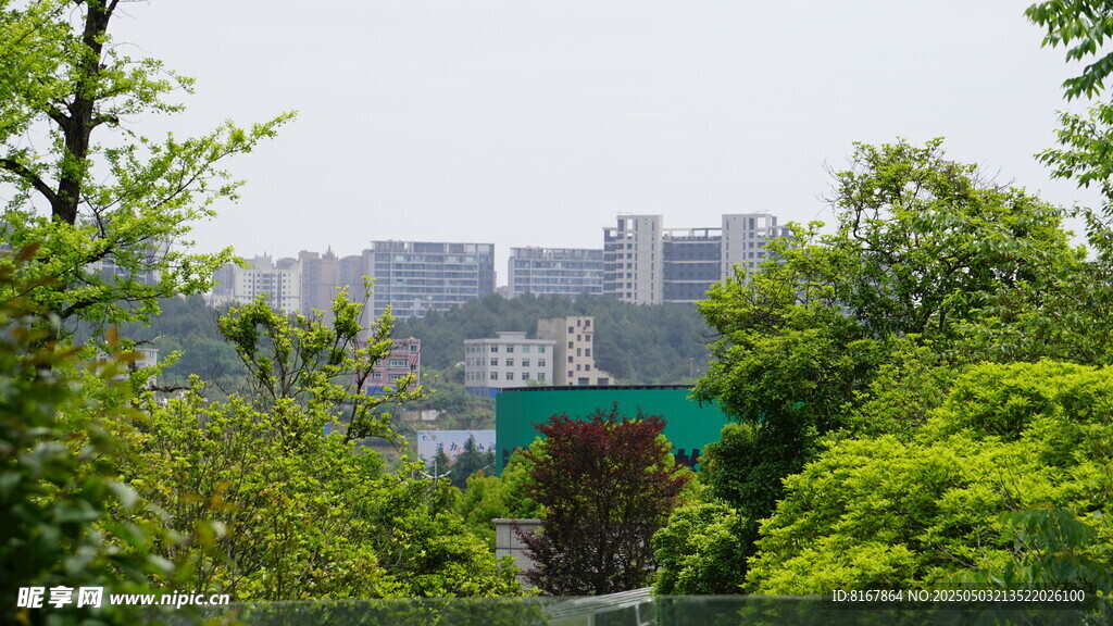 绿树掩映下的城市远景