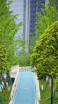 城市中的清新林荫步道