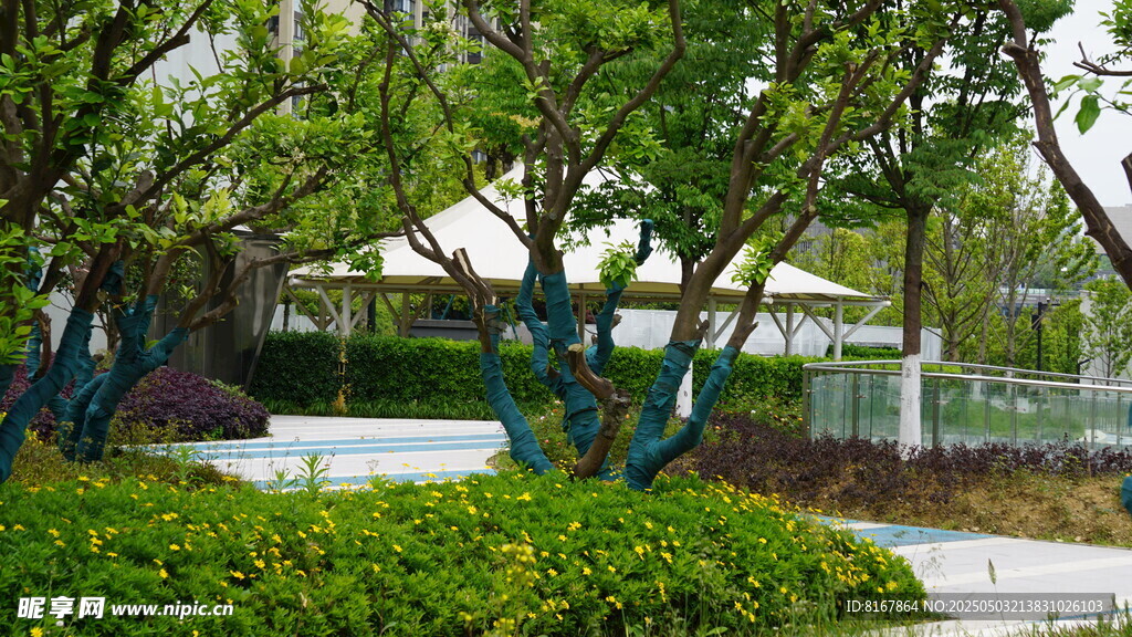园林景观中的绿植与建筑