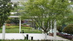 公园绿树成荫的休闲场景