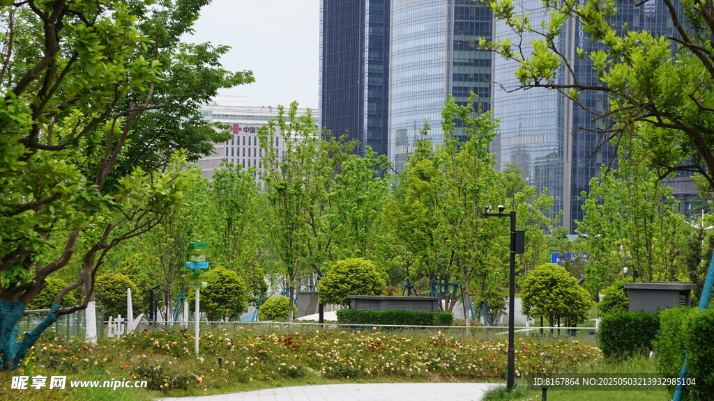 城市中的绿意公园景观