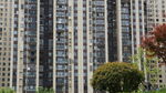 高层住宅楼旁的绿植景观