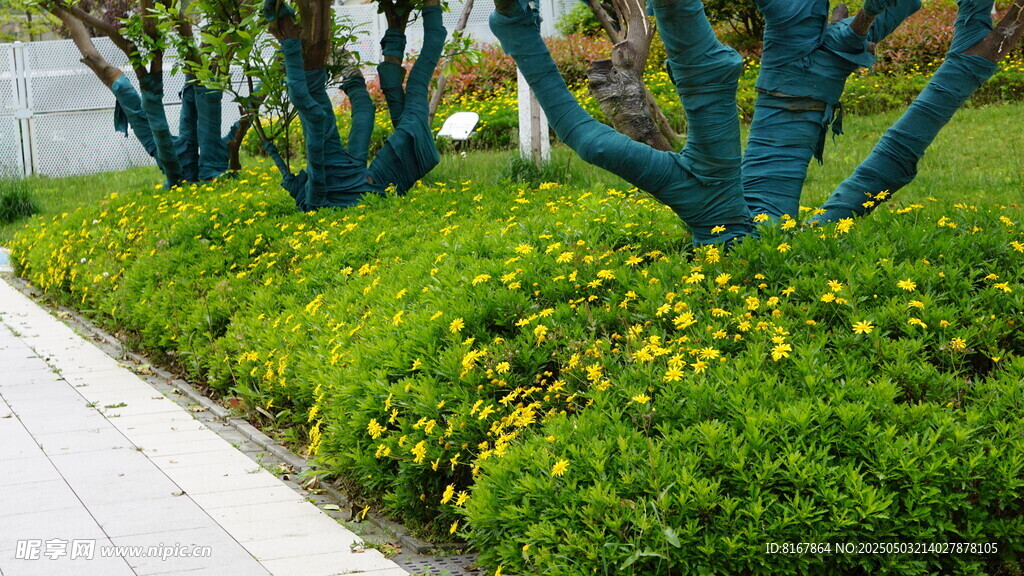 路边绿植景观