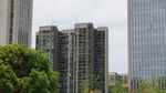 城市高楼与绿树景观