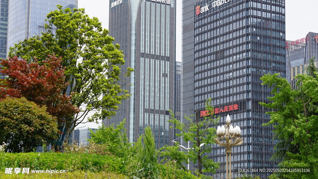 都市中的绿植与高楼景观