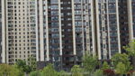 高层住宅楼景观