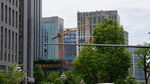 城市街景中的高楼与绿树