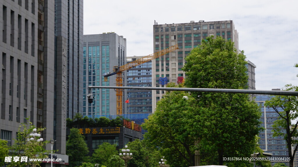 城市街景中的高楼与绿树