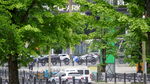城市绿荫下的街道景象