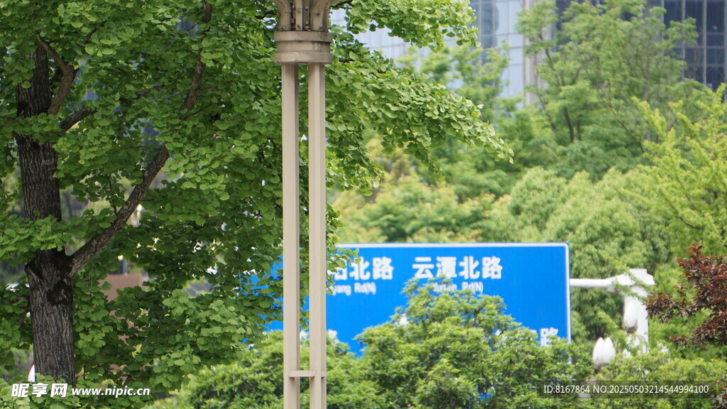 城市道路方向指示牌