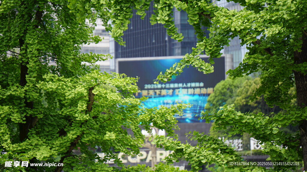 绿叶掩映下的建筑一角