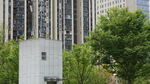 城市中的建筑与绿树景观