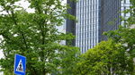 城市道路旁的绿树与指示牌