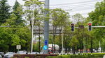 城市街道绿树交通景象