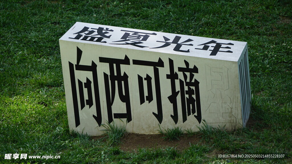 可摘的时光
