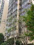高层住宅旁的绿树景观
