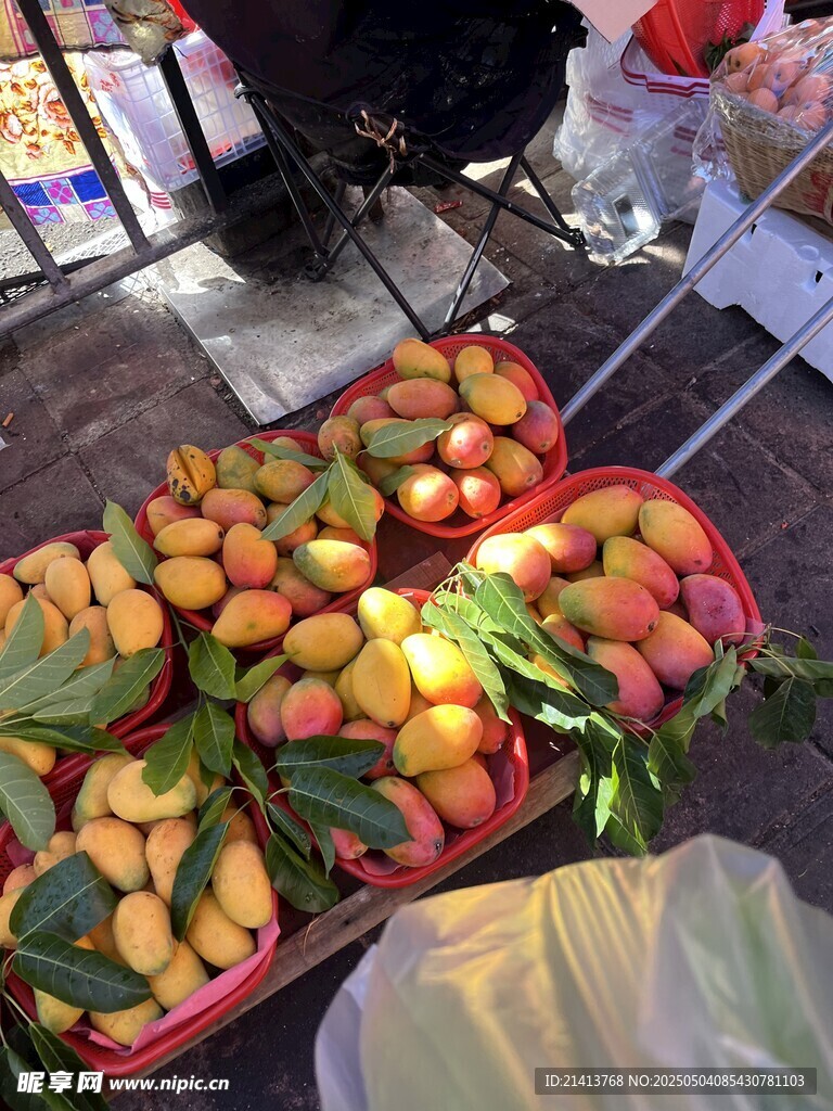新鲜多彩芒果