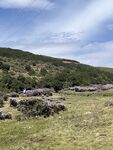 山间草地风景