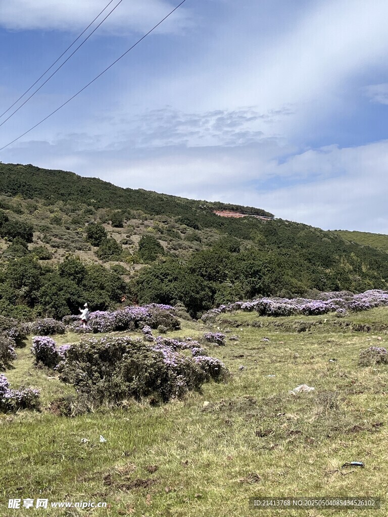 山间草地风景