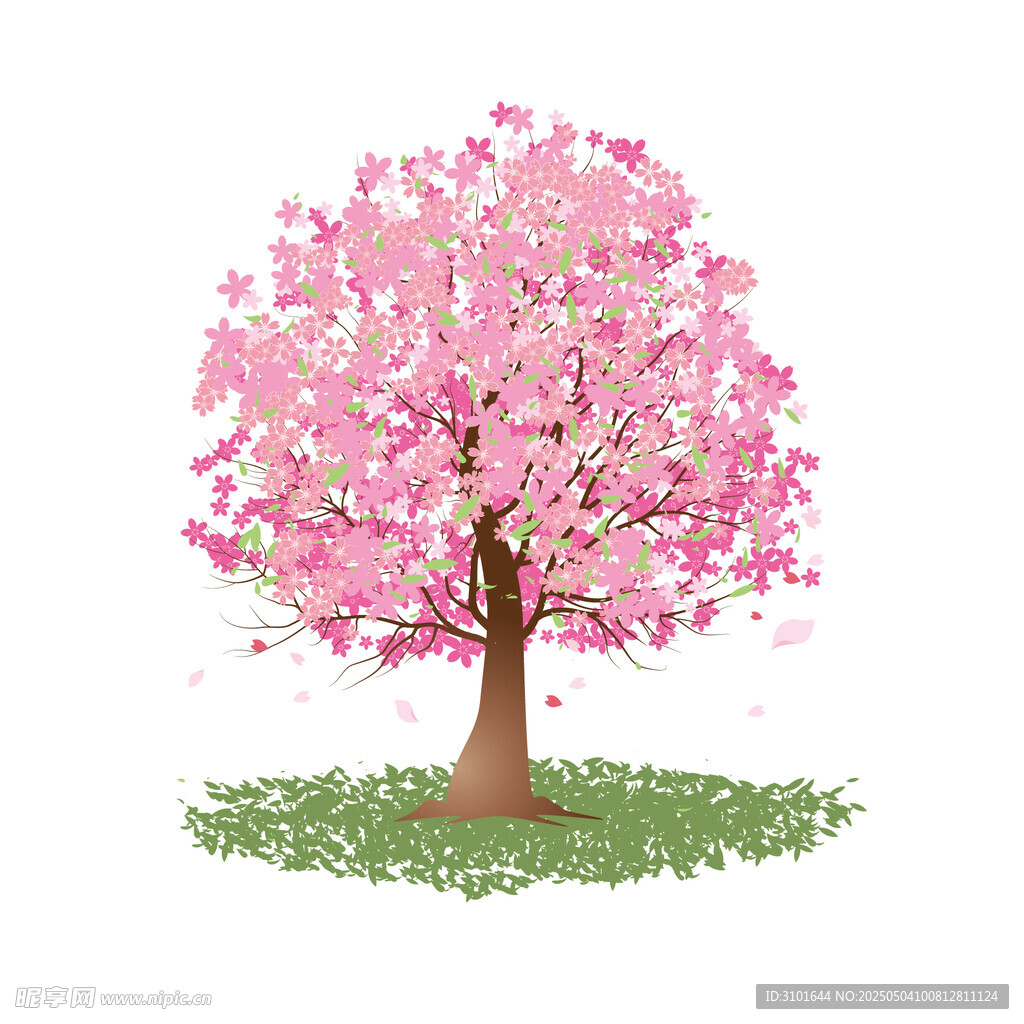 樱花树