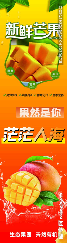 新鲜芒果