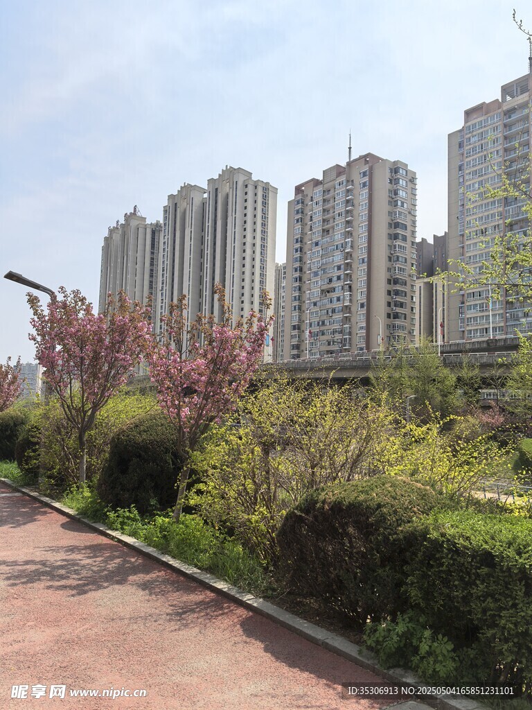 城市景色