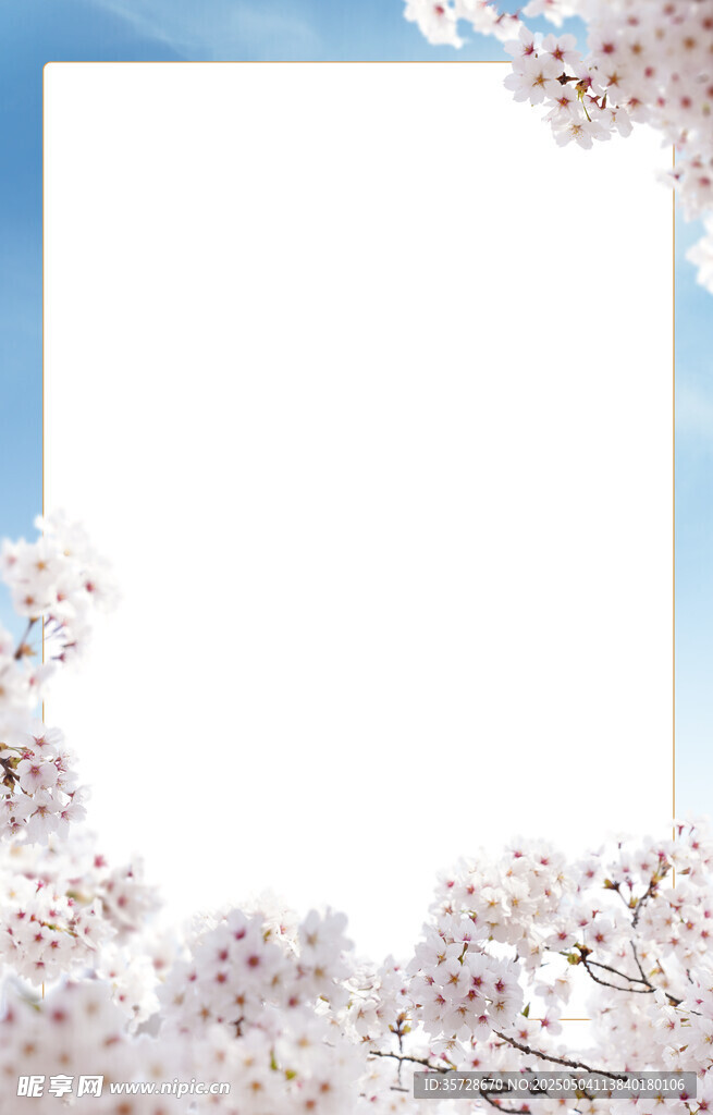 花卉边框