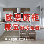 欧思厨柜 康宝