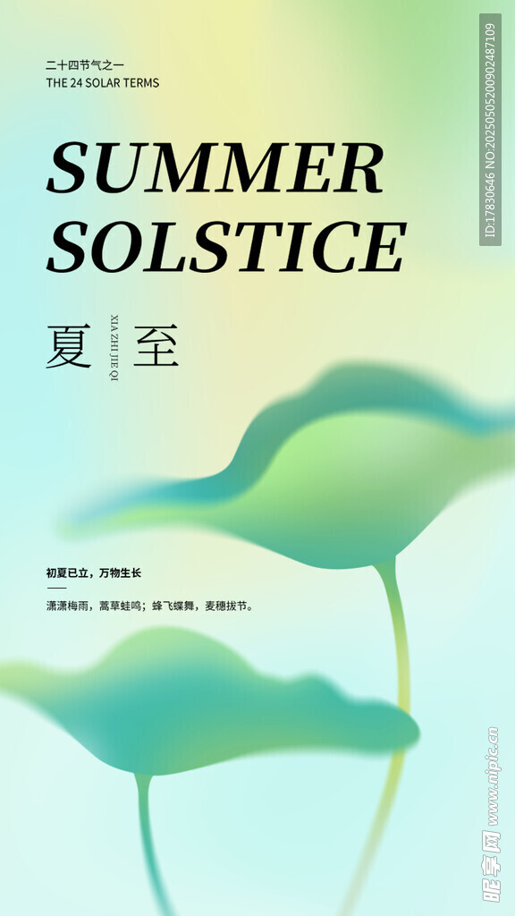 夏至主题清新插画设计
